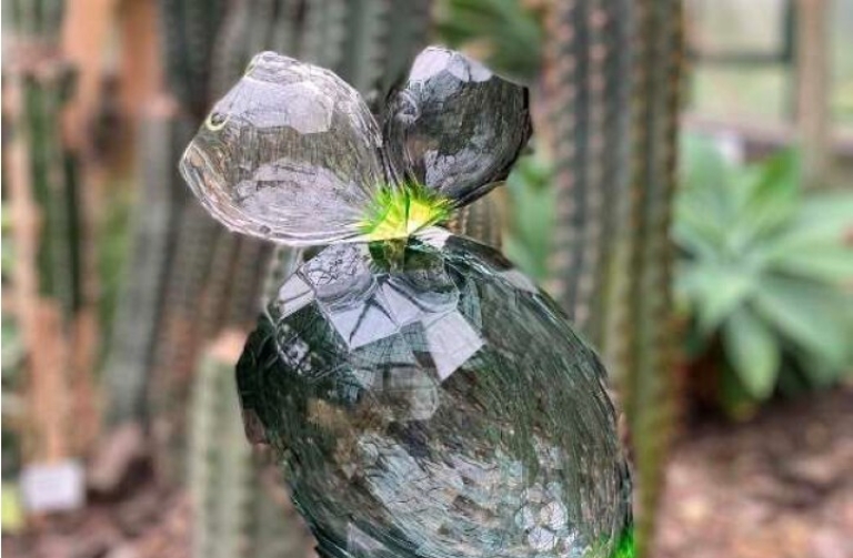 křišťál botanická